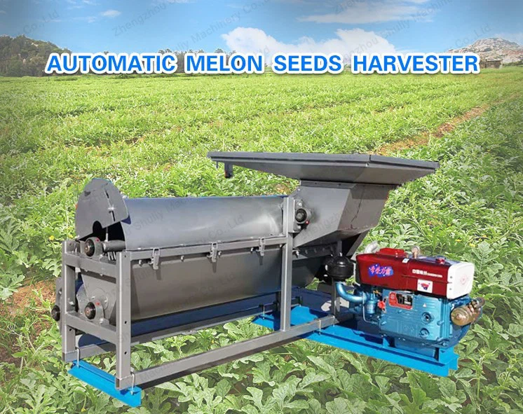 product-746-591