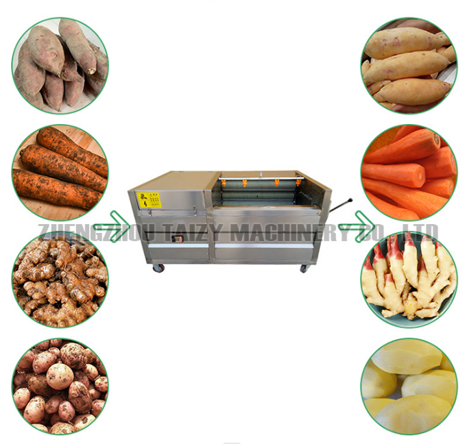 Potato washer and peeler Potato washer and peeler