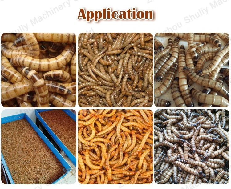 mealworm screening machine mealworm screening machine