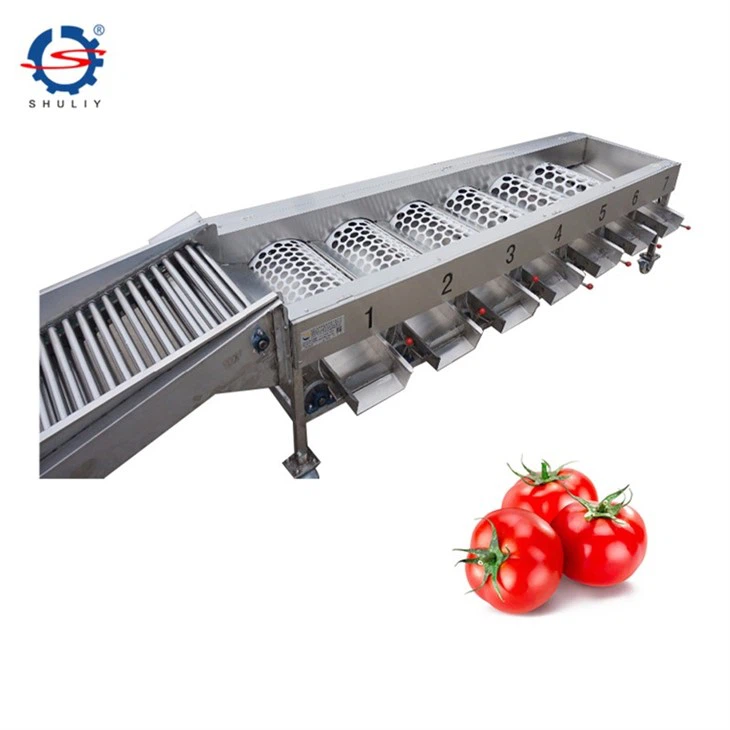 tomato grading machine