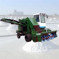 Saltsafnari