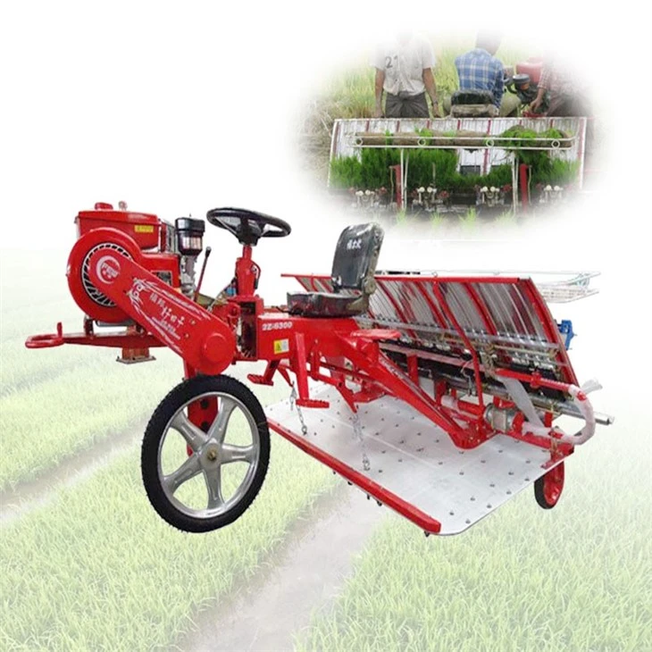 6 row paddy transplanter (2)