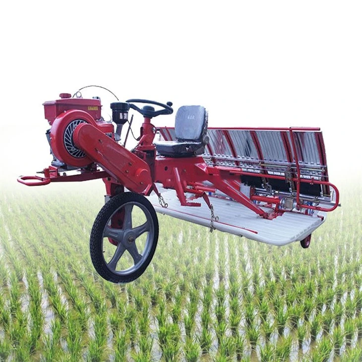 6 Row Paddy Transplanter