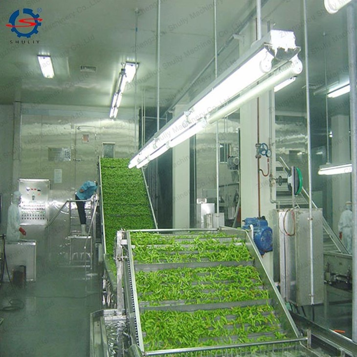 frozen green peas production line