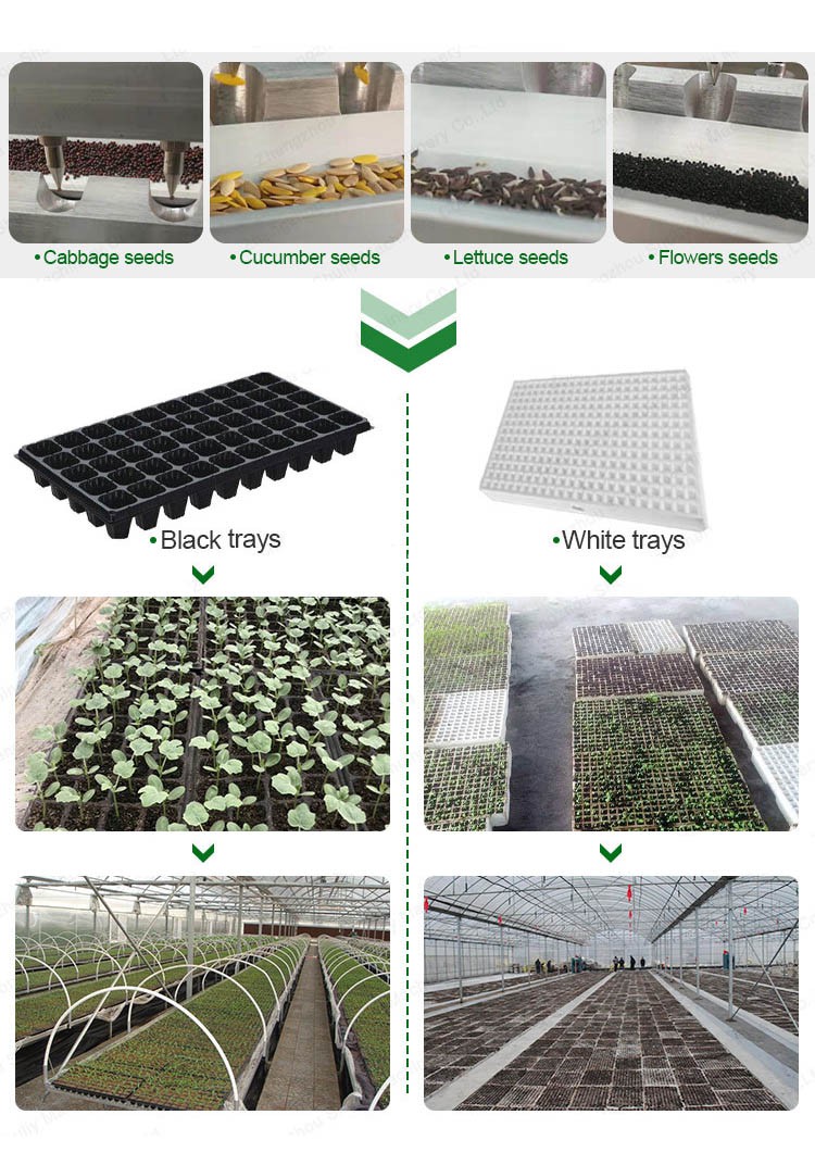 trays seeding machine trays seeding machine