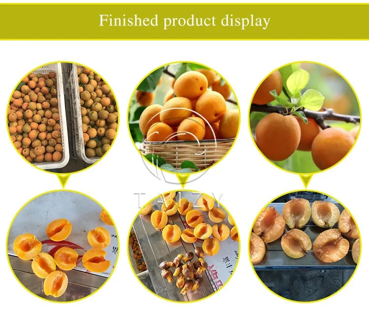 apricot cutting machine apricot cutting machine