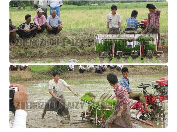 6 row paddy transplanter 6 row paddy transplanter