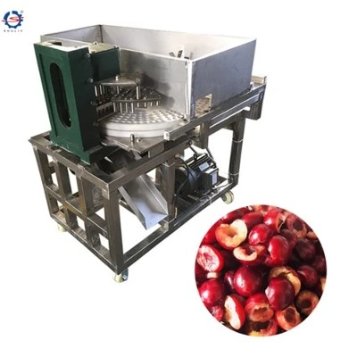 Medjool Core Removing Machine